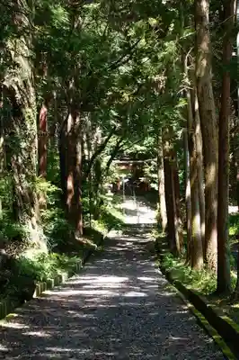 若山神社のその他建物