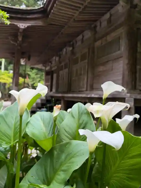 妙楽寺(福井県)
