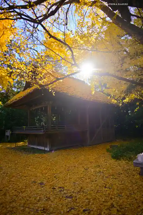 玉敷神社(埼玉県)