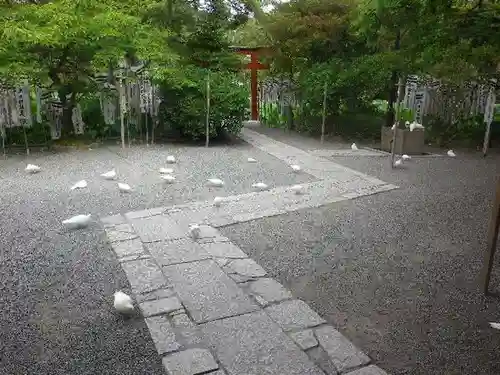 旗上弁財天社の動物