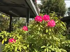 検見川神社の自然