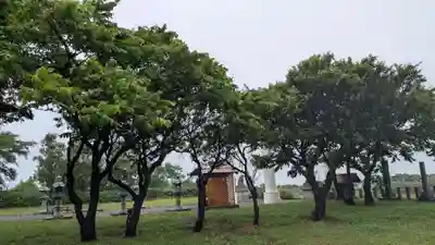 苫前神社の自然