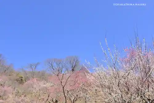 筑波山神社の自然