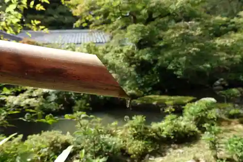 実相院門跡の手水舎