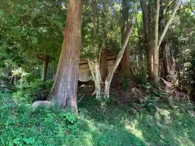 虚空蔵菩薩(千葉県)