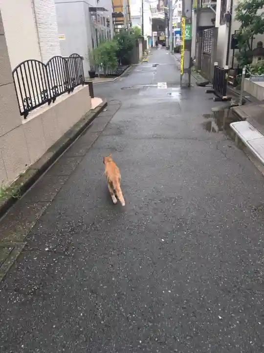 最勝寺教学院の動物
