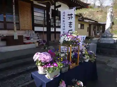 伊勢原 法泉寺のお祭り