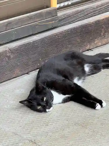 岡部春日神社～👹鬼門よけの🌺花咲く🌺やしろ～(福島県)