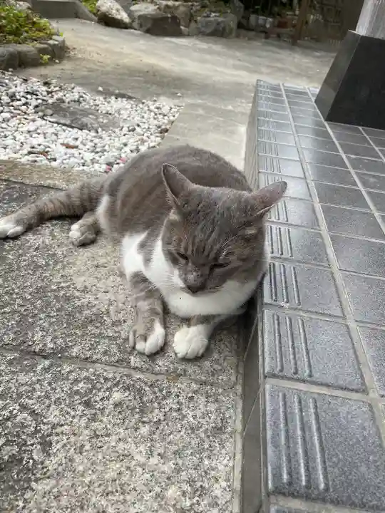 熊野神社(福岡県)