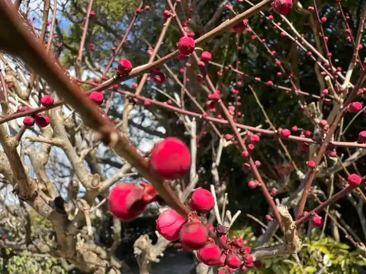 結城神社(三重県)