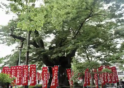秩父今宮神社(埼玉県)