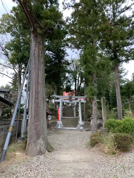 隠津島神社のその他建物