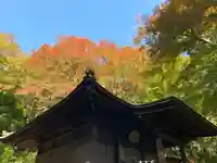 普門寺(切り絵御朱印発祥の寺)の本殿・本堂