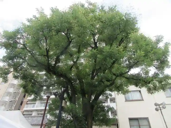 浅草神社(東京都)