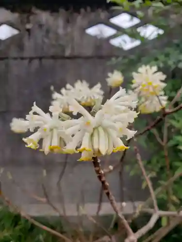 仙藏院(東京都)