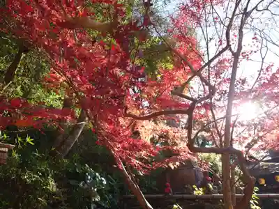 山賊魂稲成神社(山口県)