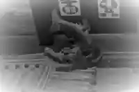 国宝 大法寺の狛犬