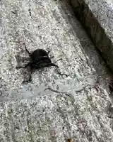 大宮温泉神社(栃木県)