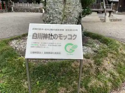 白川神社(滋賀県)