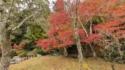 三宅八幡宮(京都府)