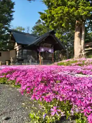 市来知神社(北海道)