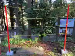 大宮温泉神社(栃木県)