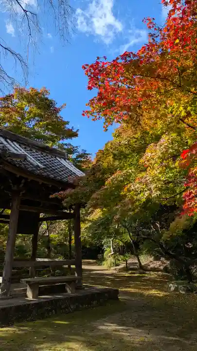 勝持寺(花の寺)(京都府)