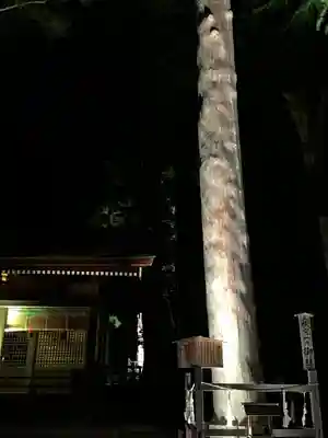 諏訪大社下社秋宮(長野県)