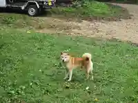 高貴寺(大阪府)