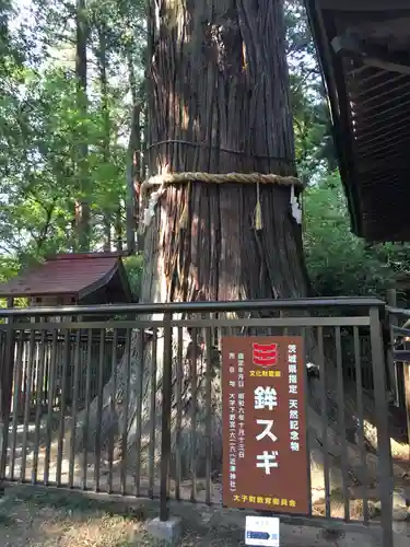 近津神社の自然