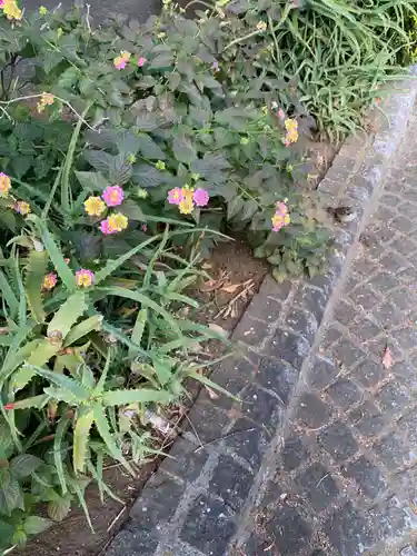 靖國神社(東京都)