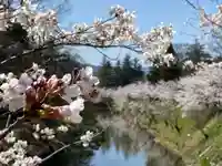 眞田神社の自然