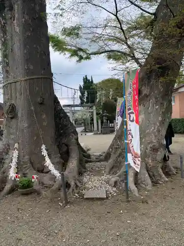 八枝神社(埼玉県)