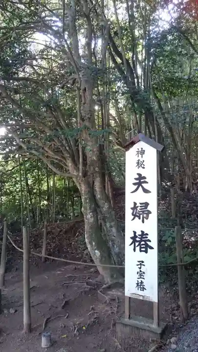 八重垣神社の自然