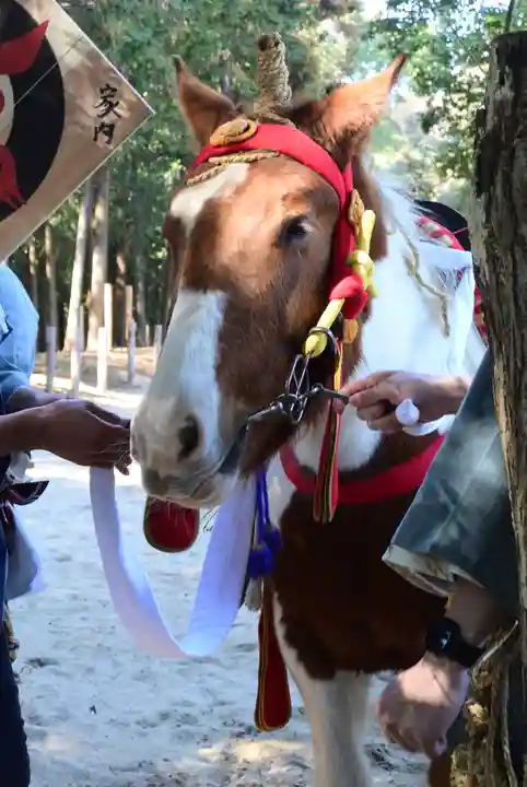出雲伊波比神社(埼玉県)