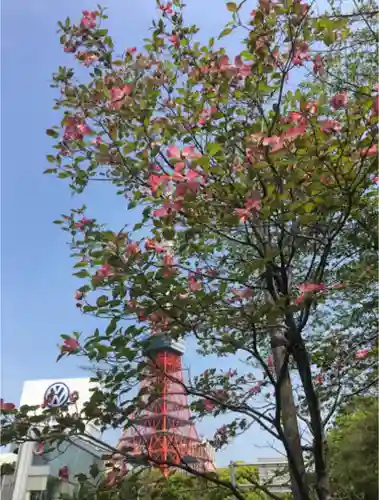 増上寺塔頭 三縁山 宝珠院の景色