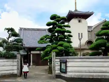 光雲寺の山門・神門