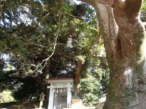 津之宮神社のその他建物