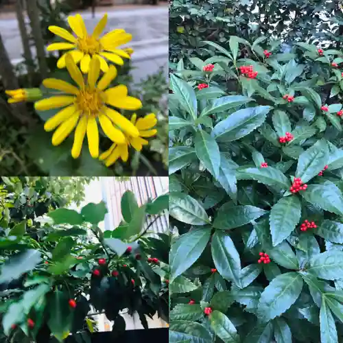 福徳神社（芽吹稲荷）の自然