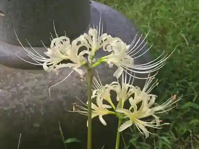 久安寺(大阪府)
