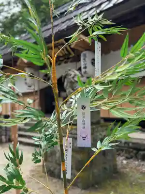 飯笠山神社(長野県)