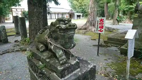 若宮神社の狛犬