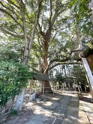 椎植神社(滋賀県)