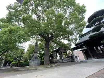 泉龍寺の御朱印