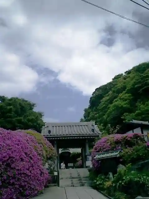 安養院 (田代寺)の山門・神門