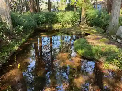 近津神社の{uncategorized: "未分類", other: "その他", undefined: "問題あり", building: "その他建物", grave: "お墓", sacred_gate: "鳥居", guardian: "狛犬", statue: "像", buddha: "仏像", history: "歴史", nature: "自然", garden: "庭園", animal: "動物", pagoda: "塔", temizu: "手水舎", mountain_gate: "山門・神門", sanctuary: "本殿・本堂", subordinate: "末社・摂社", art: "芸術", scenery: "景色", jizo: "地蔵", ema: "絵馬", goshuin: "御朱印", omikuji: "おみくじ", items: "授与品その他", amulet: "お守り", goshuincho: "御朱印帳", eats: "食事", festival: "お祭り", votive_dance: "神楽", shichigosan: "七五三参", wedding: "結婚式", experience: "体験その他", initially: "初詣", around: "周辺", anti_infection: "感染症対策"}