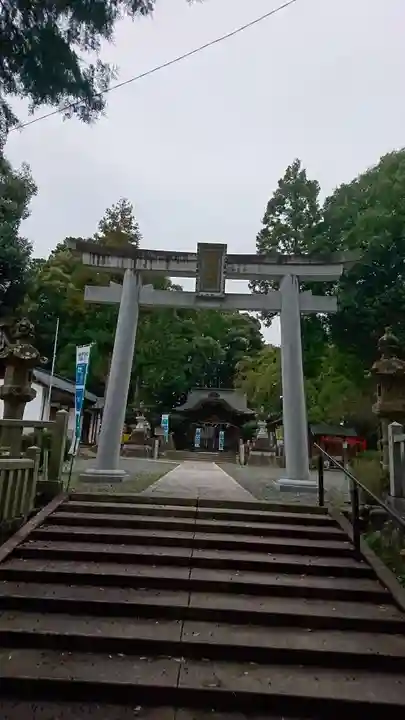 綾部八幡宮の鳥居