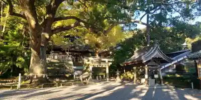事任八幡宮のその他建物