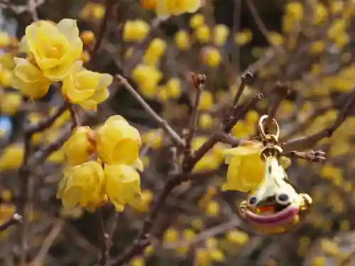 板倉雷電神社(群馬県)