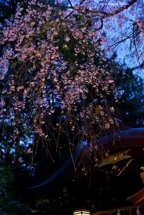 子安神社(東京都)